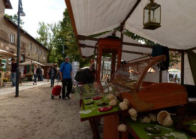 Kulturmanagement - Museen, Kultureinrichtungen, Nicola Janusch
