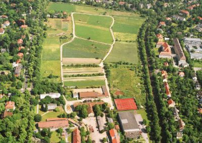 Kulturmanagement - Museen, Kultureinrichtungen, Nicola Janusch